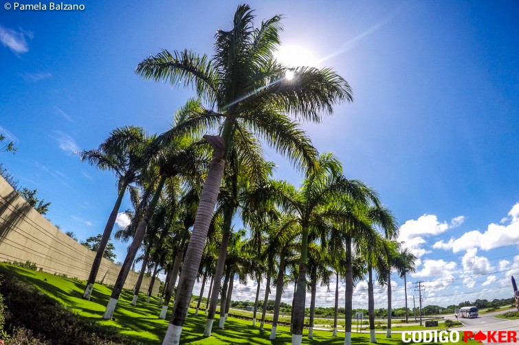 punta cana hard rock hotel casino 